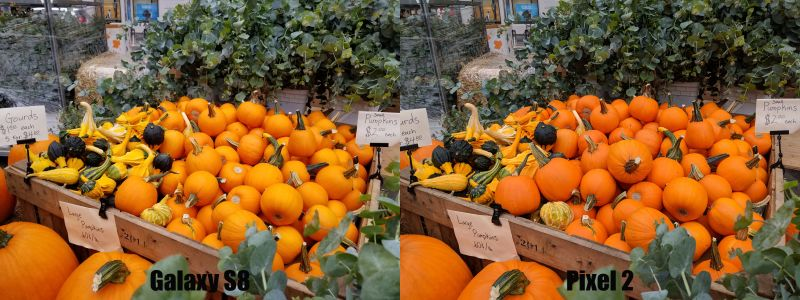 Noten cómo la imagen del Pixel 2 se ve más rica en colores y al mantener mejor la profundidad (haz clic para agrandar la imagen).